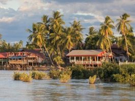 Du lịch đảo Si Phan Don Lào, nơi thư giãn lý tưởng hoang sơ và yên bình